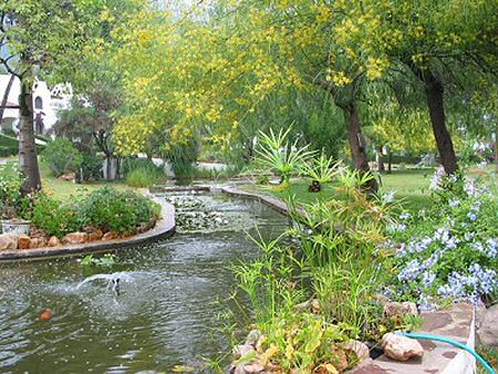Apartment Los Lagos